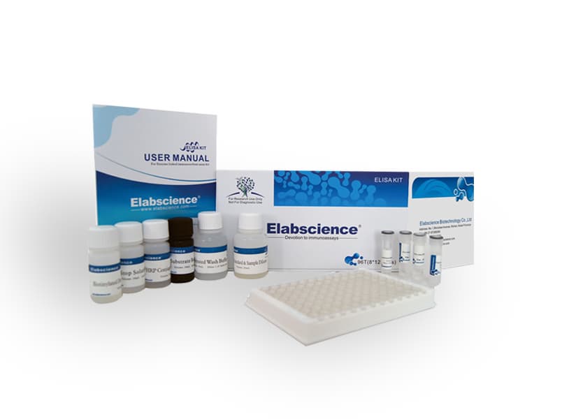 Human S100B_S100 Calcium Binding Protein B_ ELISA Kit